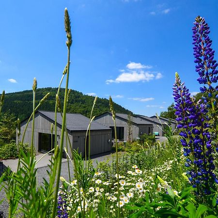 Sauerland Lodge - Haus Maxim Winterberg Eksteriør billede