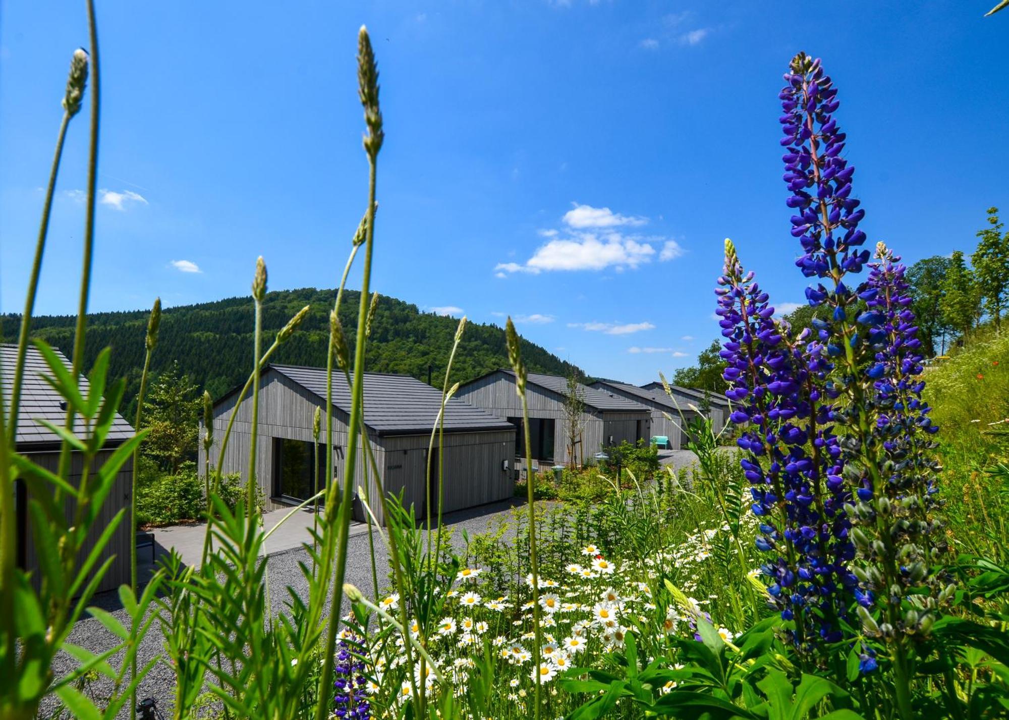 Sauerland Lodge - Haus Maxim Winterberg Eksteriør billede